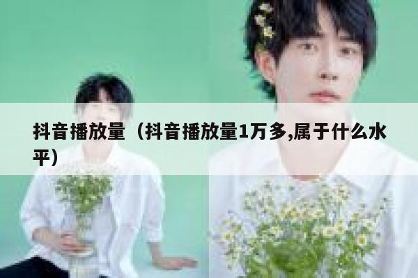 抖音播放量(抖音播放量1万多,属于什么水平) 第1张 抖音播放量(抖音播放量1万多,属于什么水平) 第1张