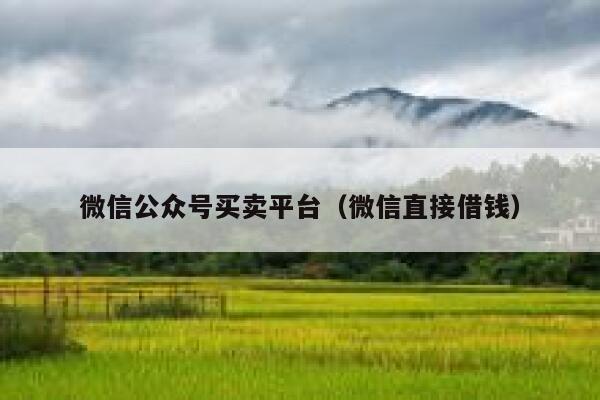 微信公众号买卖平台（微信直接借钱） 第1张