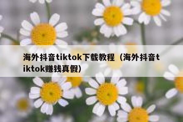 海外抖音tiktok下载教程（海外抖音tiktok赚钱真假） 第1张