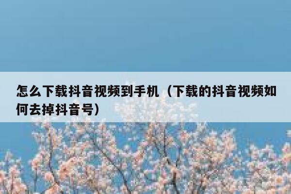 怎么下载抖音视频到手机（下载的抖音视频如何去掉抖音号） 第1张