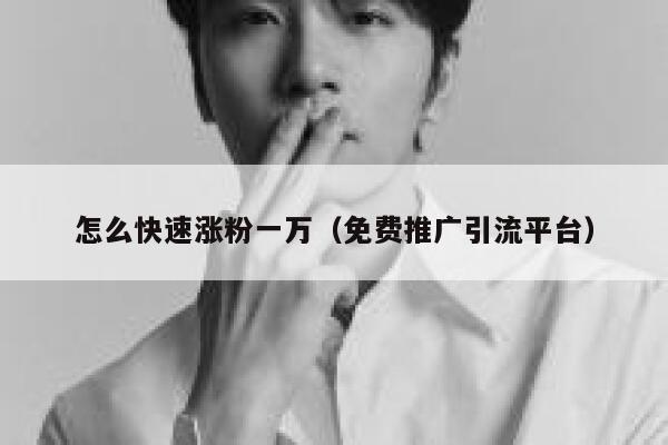怎么快速涨粉一万（免费推广引流平台） 第1张