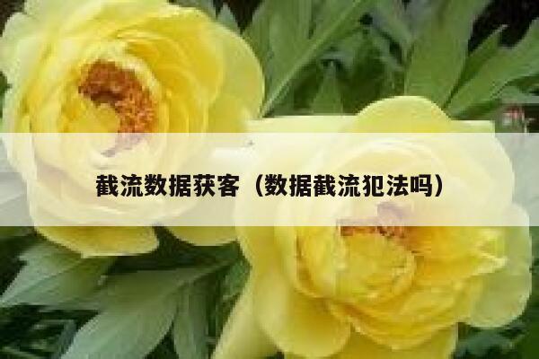 截流数据获客（数据截流犯法吗） 第1张