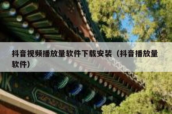 抖音视频播放量软件下载安装（抖音播放量 软件） 第1张