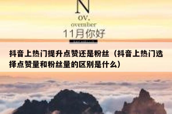 抖音上热门提升点赞还是粉丝（抖音上热门选择点赞量和粉丝量的区别是什么） 第1张