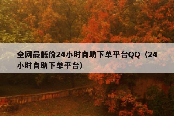 全网最低价24小时自助下单平台QQ（24小时自助下单平台） 第1张