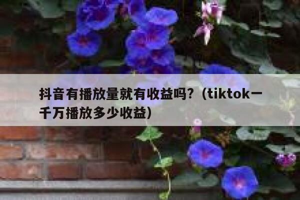 抖音有播放量就有收益吗?（tiktok一千万播放多少收益） 第1张