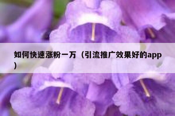 如何快速涨粉一万（引流推广效果好的app） 第1张