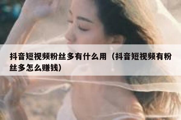 抖音短视频粉丝多有什么用（抖音短视频有粉丝多怎么赚钱） 第1张