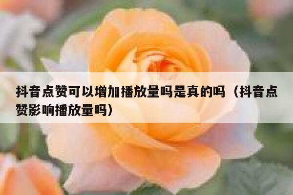 抖音点赞可以增加播放量吗是真的吗(抖音点赞影响播放量吗) 第1张 抖音点赞可以增加播放量吗是真的吗(抖音点赞影响播放量吗) 第1张