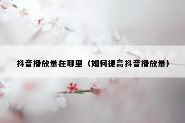 抖音播放量在哪里(如何提高抖音播放量) 第1张 抖音播放量在哪里(如何提高抖音播放量) 第1张