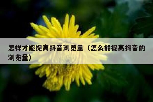 怎样才能提高抖音浏览量（怎么能提高抖音的浏览量） 第1张