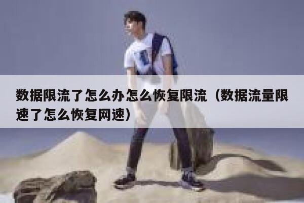 数据限流了怎么办怎么恢复限流(数据流量限速了怎么恢复网速) 第1张 数据限流了怎么办怎么恢复限流(数据流量限速了怎么恢复网速) 第1张