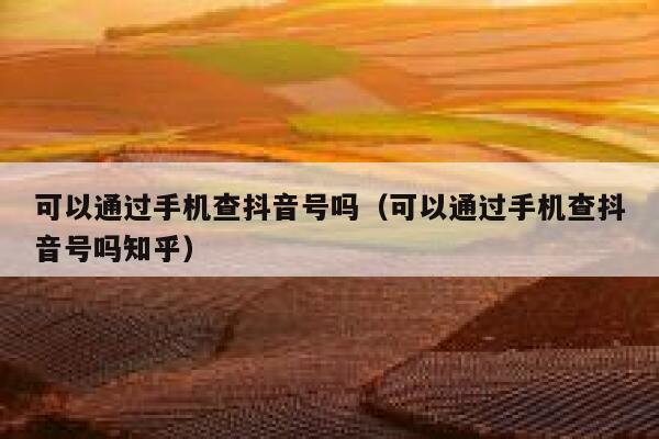 可以通过手机查抖音号吗(可以通过手机查抖音号吗知乎) 第1张 可以通过手机查抖音号吗(可以通过手机查抖音号吗知乎) 第1张