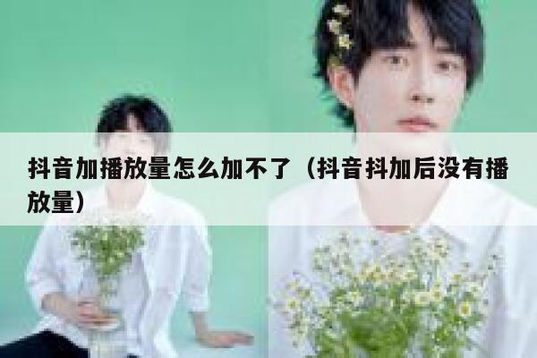 抖音加播放量怎么加不了(抖音抖加后没有播放量) 第1张 抖音加播放量怎么加不了(抖音抖加后没有播放量) 第1张