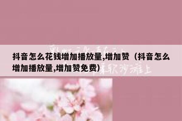 抖音怎么花钱增加播放量,增加赞(抖音怎么增加播放量,增加赞免费) 第1张 抖音怎么花钱增加播放量,增加赞(抖音怎么增加播放量,增加赞免费) 第1张