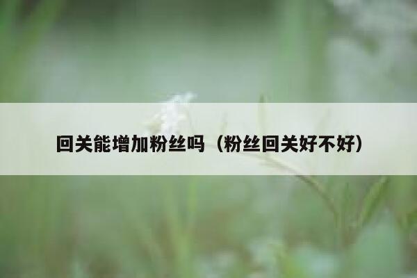 回关能增加粉丝吗（粉丝回关好不好） 第1张