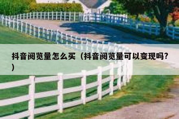 抖音阅览量怎么买（抖音阅览量可以变现吗?） 第1张