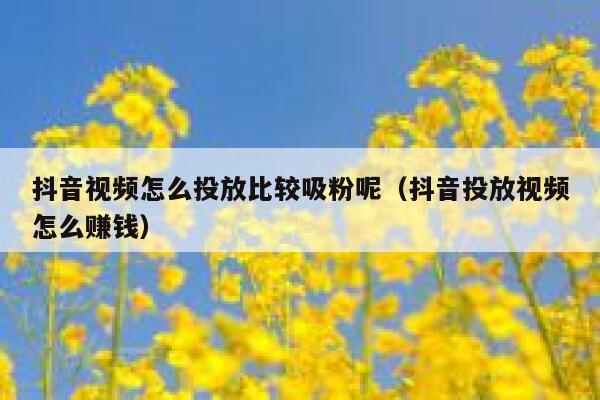抖音视频怎么投放比较吸粉呢（抖音投放视频怎么赚钱） 第1张