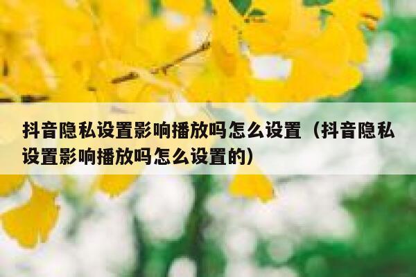 抖音隐私设置影响播放吗怎么设置（抖音隐私设置影响播放吗怎么设置的） 第1张