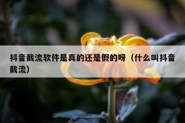 抖音截流软件是真的还是假的呀（什么叫抖音截流） 第1张