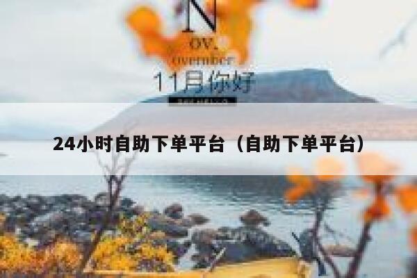 24小时自助下单平台（自助下单平台） 第1张