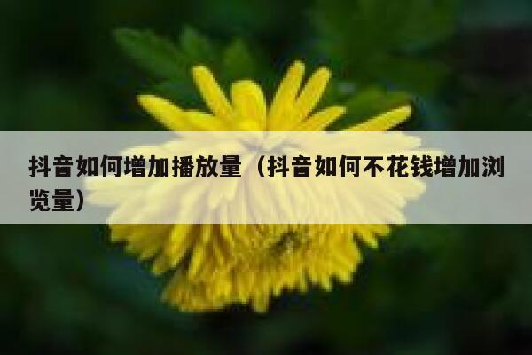 抖音如何增加播放量（抖音如何不花钱增加浏览量） 第1张
