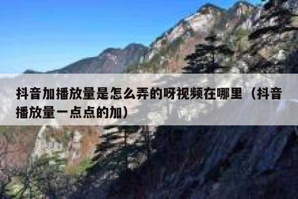 抖音加播放量是怎么弄的呀视频在哪里（抖音播放量一点点的加） 第1张
