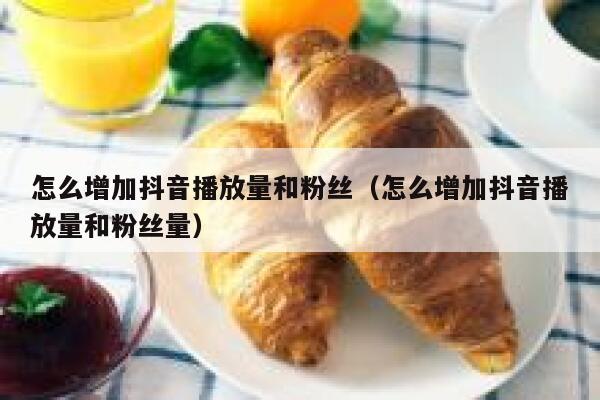 怎么增加抖音播放量和粉丝（怎么增加抖音播放量和粉丝量） 第1张