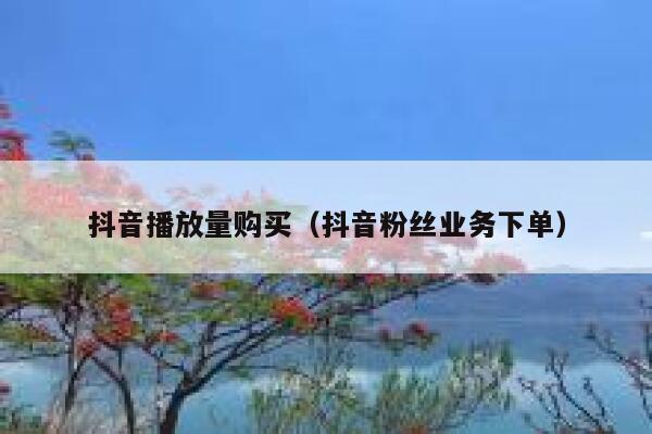 抖音播放量购买（抖音粉丝业务下单） 第1张