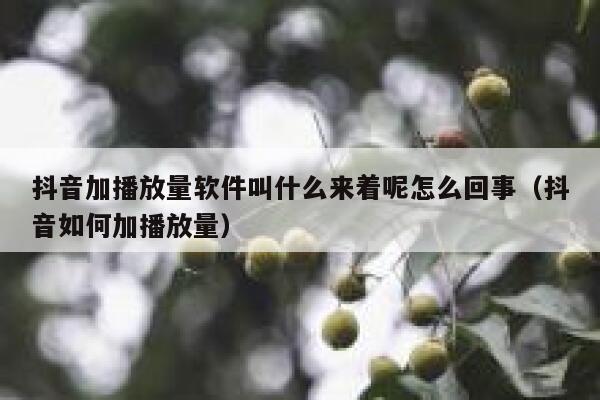 抖音加播放量软件叫什么来着呢怎么回事（抖音如何加播放量） 第1张