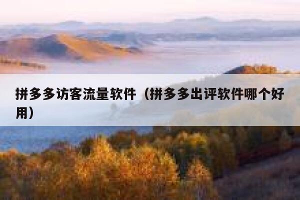 拼多多访客流量软件(拼多多出评软件哪个好用) 第1张 拼多多访客流量软件(拼多多出评软件哪个好用) 第1张