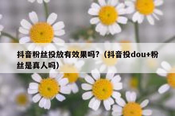 抖音粉丝投放有效果吗?(抖音投dou+粉丝是真人吗) 第1张 抖音粉丝投放有效果吗?(抖音投dou+粉丝是真人吗) 第1张