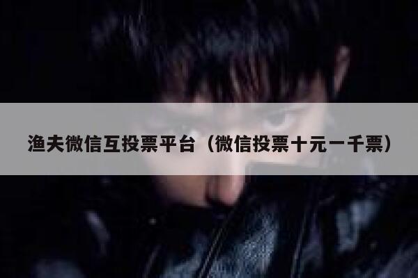 渔夫微信互投票平台(微信投票十元一千票) 第1张 渔夫微信互投票平台(微信投票十元一千票) 第1张