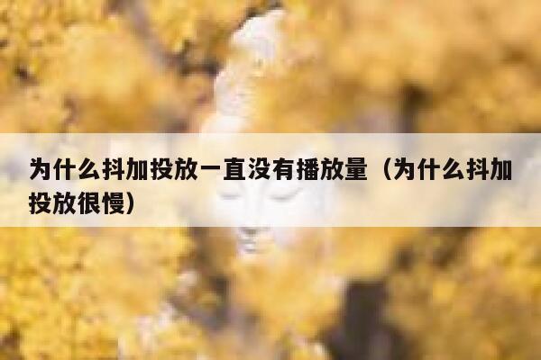 为什么抖加投放一直没有播放量(为什么抖加投放很慢) 第1张 为什么抖加投放一直没有播放量(为什么抖加投放很慢) 第1张