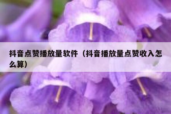 抖音点赞播放量软件（抖音播放量点赞收入怎么算） 第1张