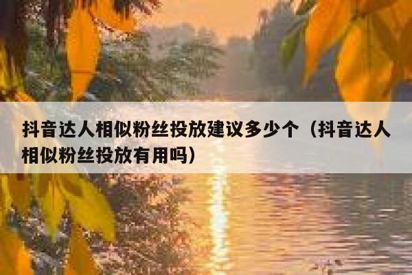 抖音达人相似粉丝投放建议多少个（抖音达人相似粉丝投放有用吗） 第1张