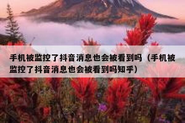 手机被监控了抖音消息也会被看到吗（手机被监控了抖音消息也会被看到吗知乎） 第1张