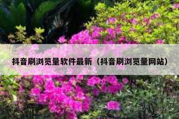 抖音刷浏览量软件最新(抖音刷浏览量网站) 第1张 抖音刷浏览量软件最新(抖音刷浏览量网站) 第1张