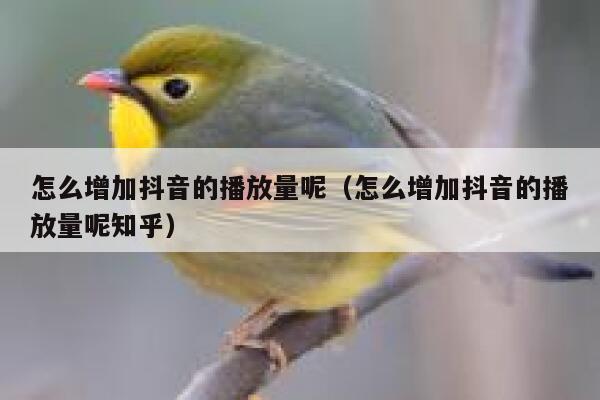 怎么增加抖音的播放量呢(怎么增加抖音的播放量呢知乎) 第1张 怎么增加抖音的播放量呢(怎么增加抖音的播放量呢知乎) 第1张