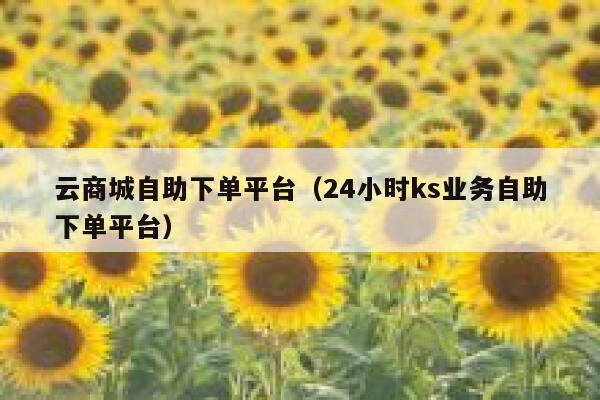 云商城自助下单平台(24小时ks业务自助下单平台) 第1张 云商城自助下单平台(24小时ks业务自助下单平台) 第1张