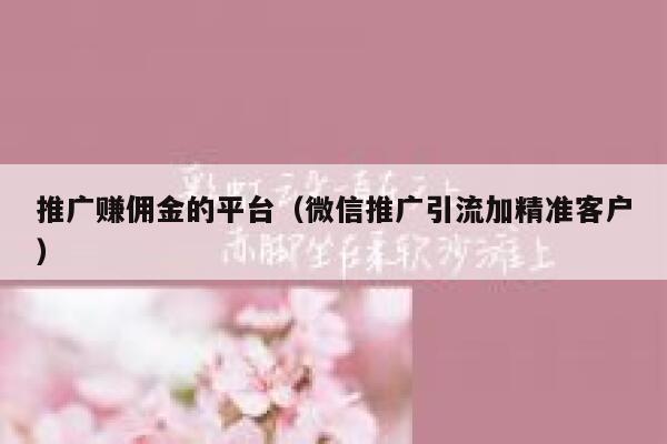 推广赚佣金的平台(微信推广引流加精准客户) 第1张 推广赚佣金的平台(微信推广引流加精准客户) 第1张