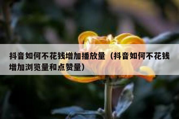 抖音如何不花钱增加播放量（抖音如何不花钱增加浏览量和点赞量） 第1张