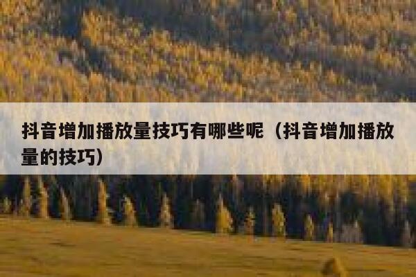 抖音增加播放量技巧有哪些呢（抖音增加播放量的技巧） 第1张