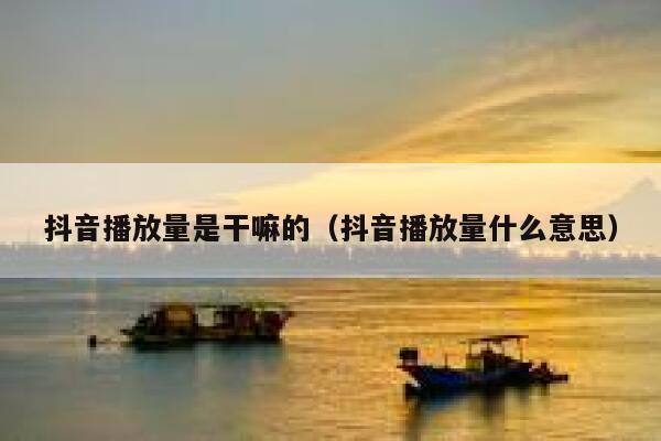 抖音播放量是干嘛的（抖音播放量什么意思） 第1张