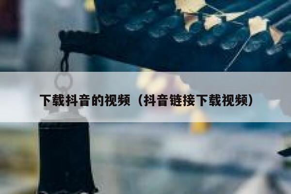 下载抖音的视频（抖音链接下载视频） 第1张