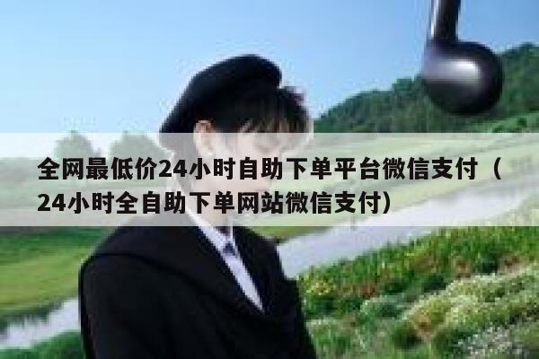 全网最低价24小时自助下单平台微信支付（24小时全自助下单网站微信支付） 第1张
