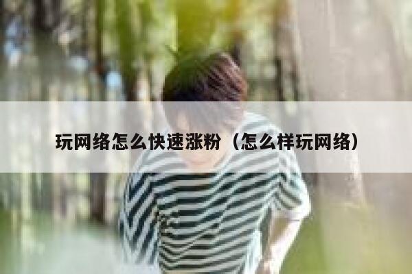 玩网络怎么快速涨粉（怎么样玩网络） 第1张