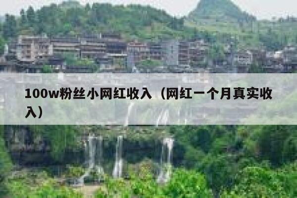 100w粉丝小网红收入（网红一个月真实收入） 第1张