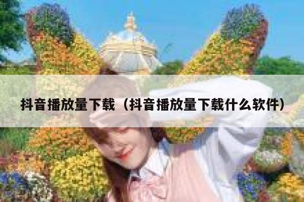 抖音播放量下载（抖音播放量下载什么软件） 第1张