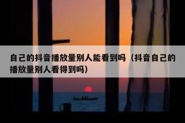 自己的抖音播放量别人能看到吗（抖音自己的播放量别人看得到吗） 第1张